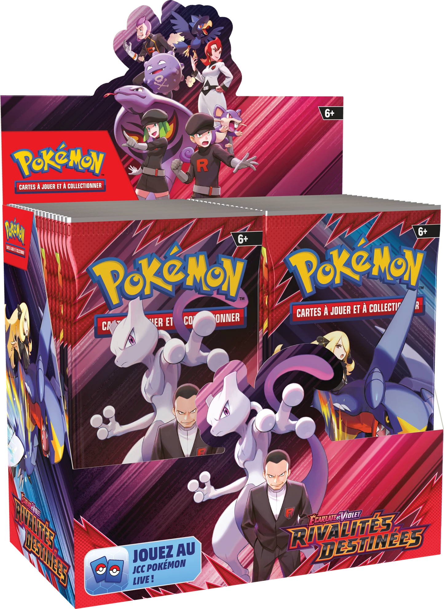Display Pokémon Rivalités Destinées officiel

