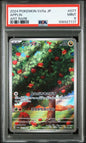 Cartes gradées Pokémon et One Piece PSA BGS CGC disponibles au Maroc sur Collectorshop.ma